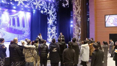 文藝創作與表演融合，冰雪奇緣大型舞臺劇全國巡演首站洛陽圓滿成功